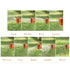 9 adjustable hose nozzle spray modes: Center, Mist, Flat, Soaker, Cone, Rinse, Shower, Angle, Vertica.