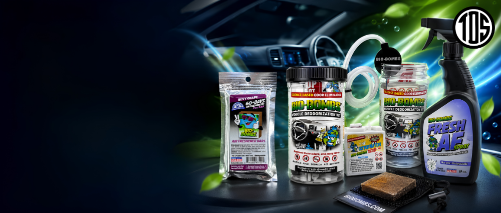Fresh vehicle interior after an odor reset