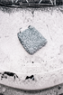 Blackline Car Care BLACKLINE® MICROFIBER WASH MITT in use - professional detailing application