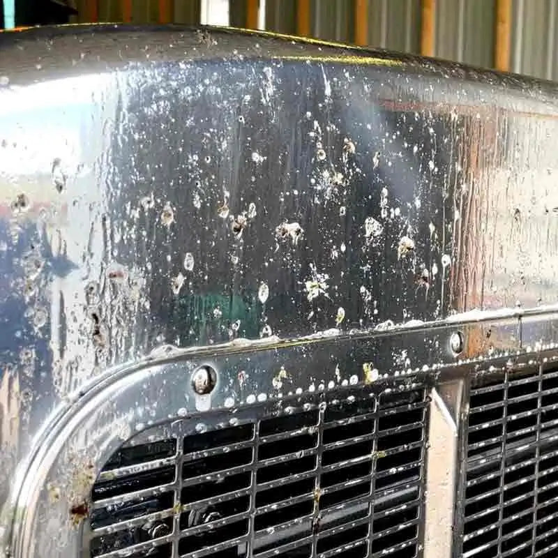 Bug Remover - Fast & Safe Bug Removal