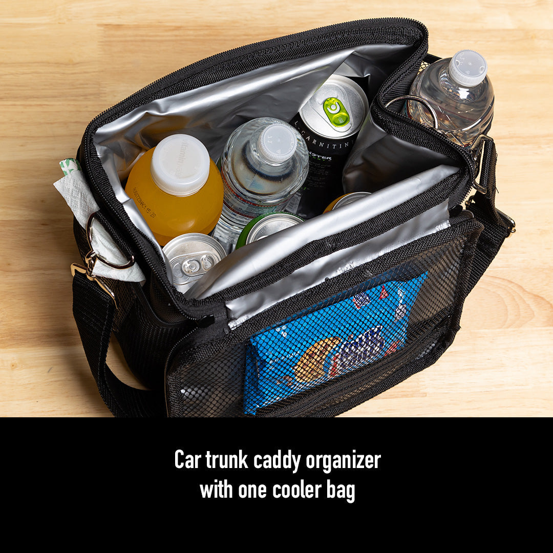 Cooler-Lined Detailing Tool Bag This heavy-duty detailing tool bag is perfect for storing all your car detailing supplies, including chemicals, brushes, and