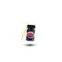 Paint Repair Kit