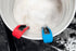 SKORP - Scrub Brush