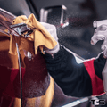 Paint Correction & Ceramic Coating – Ultimate Shine & Protection in Evans & Grovetown, GA