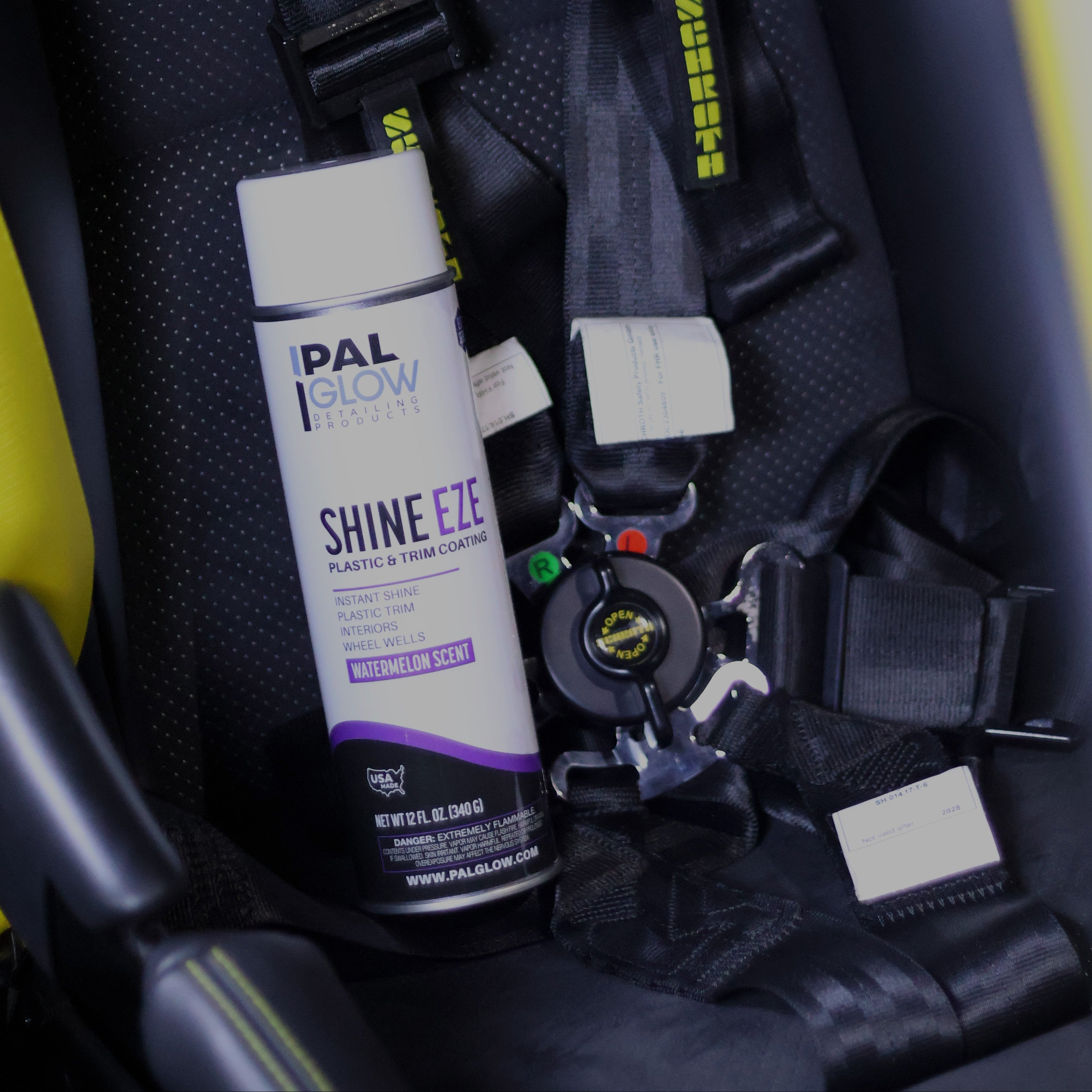 PalGlow SHINE-EZE PREMIUM SPRAY DRESSING in use - professional detailing application